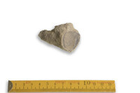 F 00105 01
<br/>
<br/>
<em></em>